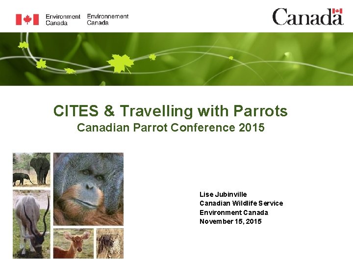 CITES & Travelling with Parrots Canadian Parrot Conference 2015 Lise Jubinville Canadian Wildlife Service
