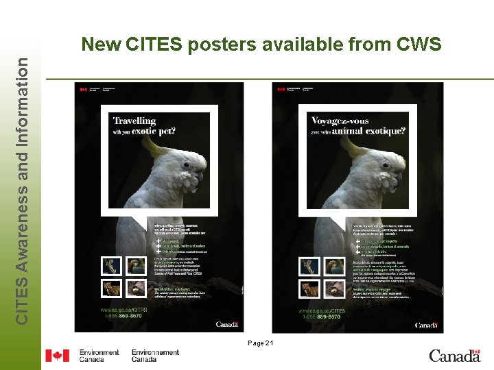 CITES Awareness and Information New CITES posters available from CWS Page 21 