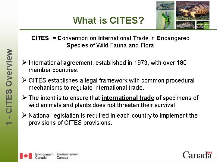 What is CITES? 1 - CITES Overview CITES = Convention on International Trade in