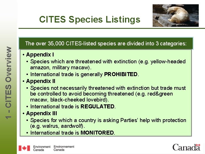 CITES Species Listings 1 - CITES Overview The over 35, 000 CITES-listed species are