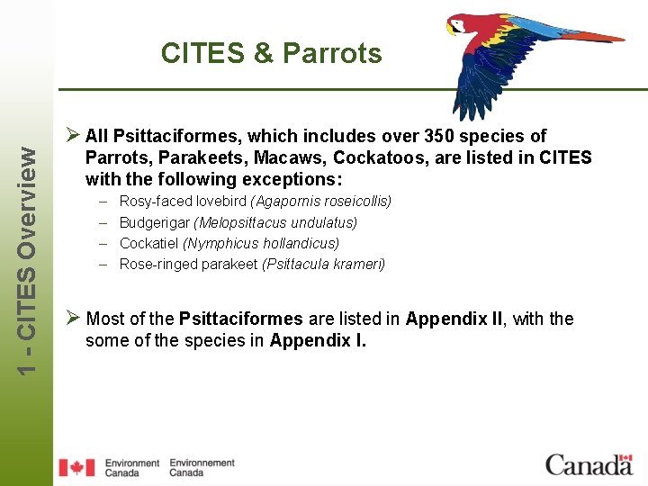 CITES & Parrots 1 - CITES Overview Ø All Psittaciformes, which includes over 350