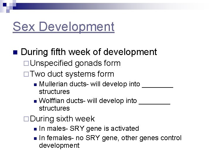 Sex Development n During fifth week of development ¨ Unspecified gonads form ¨ Two