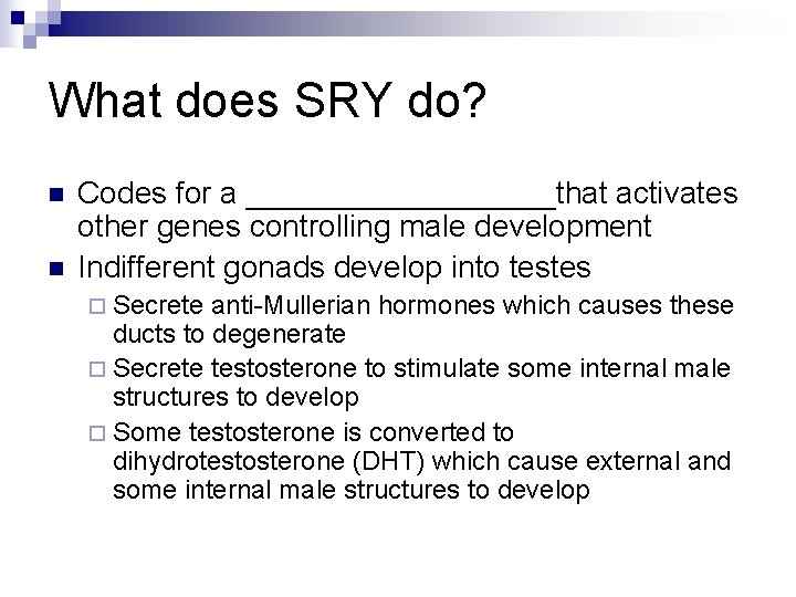 What does SRY do? n n Codes for a _________that activates other genes controlling