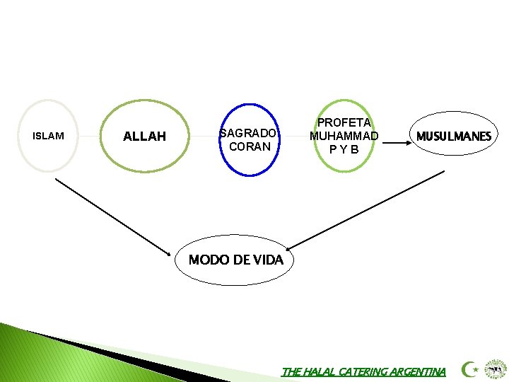 ISLAM ALLAH PROFETA MUHAMMAD PYB SAGRADO CORAN MUSULMANES MODO DE VIDA THE HALAL CATERING