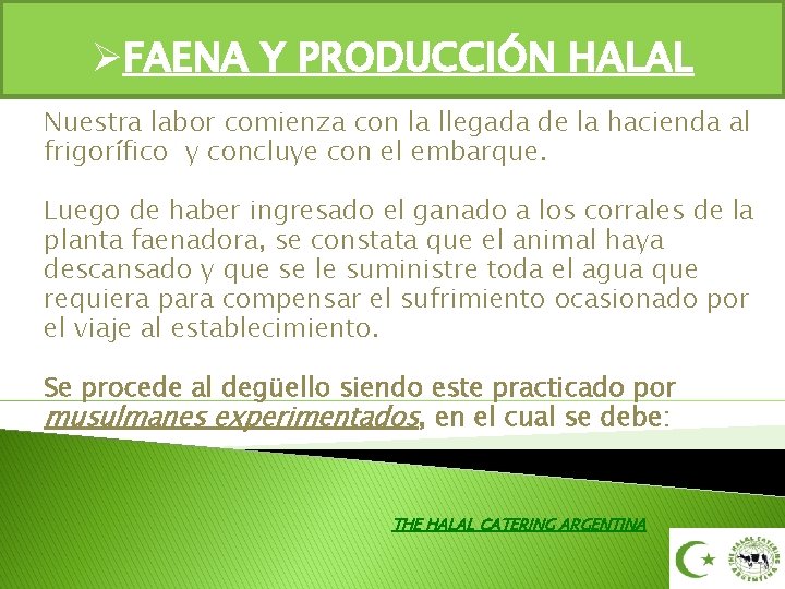 ØFAENA Y PRODUCCIÓN HALAL Nuestra labor comienza con la llegada de la hacienda al