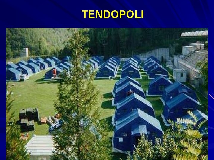 TENDOPOLI 