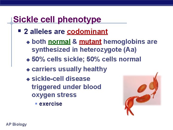 Sickle cell phenotype § 2 alleles are codominant both normal & mutant hemoglobins are