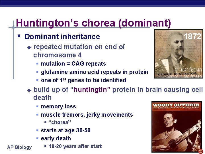 Huntington’s chorea (dominant) § Dominant inheritance u 1872 repeated mutation on end of chromosome