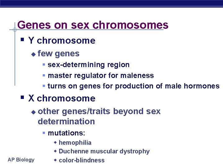 Genes on sex chromosomes § Y chromosome u few genes § sex-determining region §