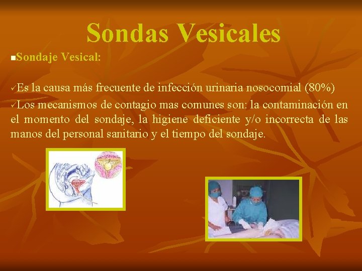Sondas Vesicales Sondaje Vesical: n Es la causa más frecuente de infección urinaria nosocomial
