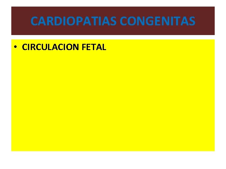 CARDIOPATIAS CONGENITAS • CIRCULACION FETAL 