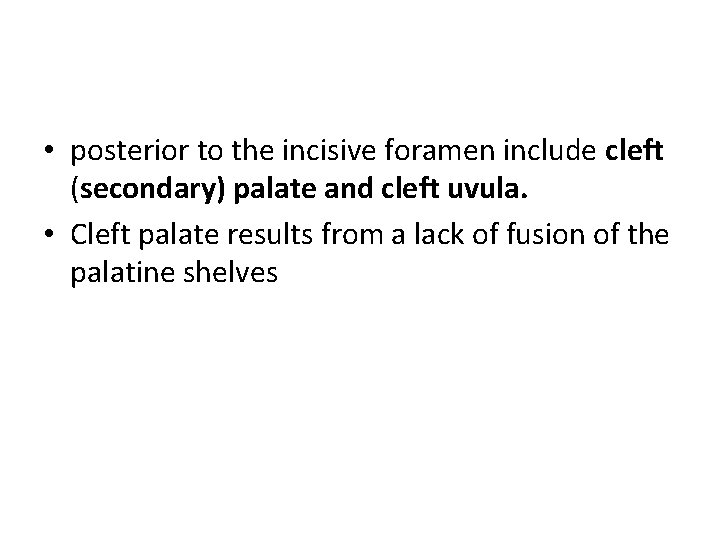  • posterior to the incisive foramen include cleft (secondary) palate and cleft uvula.