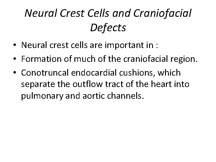 Neural Crest Cells and Craniofacial Defects • Neural crest cells are important in :