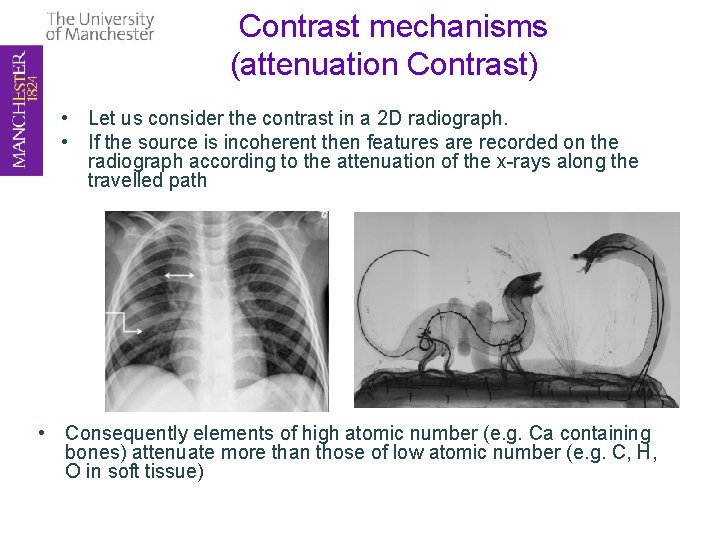 Contrast mechanisms (attenuation Contrast) • Let us consider the contrast in a 2 D