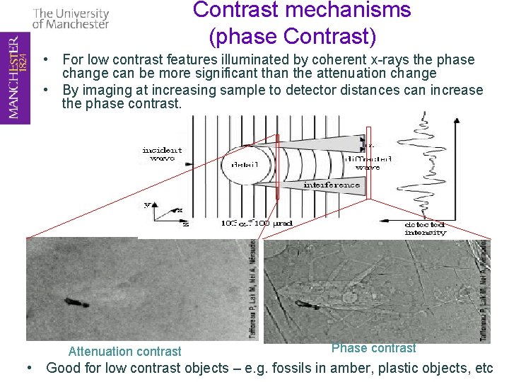 Contrast mechanisms (phase Contrast) • For low contrast features illuminated by coherent x-rays the