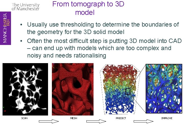 From tomograph to 3 D model • Usually use thresholding to determine the boundaries