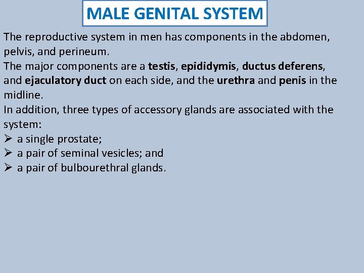 MALE GENITAL SYSTEM The reproductive system in men has components in the abdomen, pelvis,