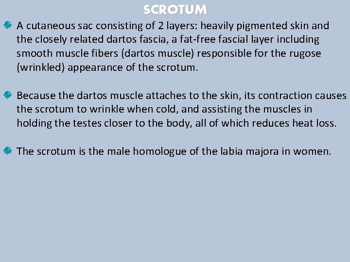 SCROTUM A cutaneous sac consisting of 2 layers: heavily pigmented skin and the closely