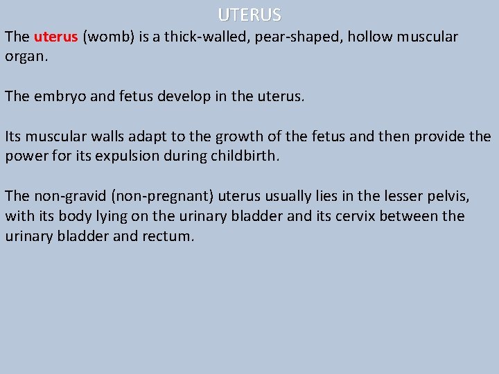 UTERUS The uterus (womb) is a thick-walled, pear-shaped, hollow muscular organ. The embryo and