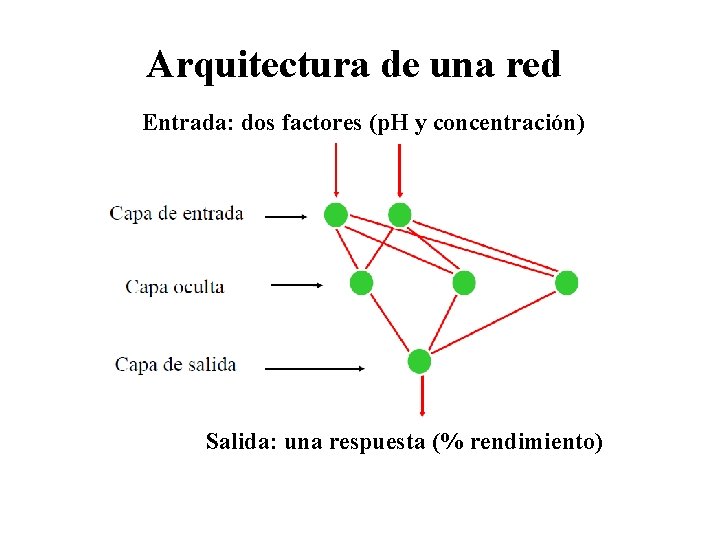 Arquitectura de una red Entrada: dos factores (p. H y concentración) Salida: una respuesta
