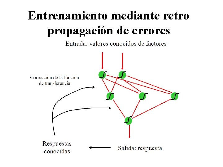 Entrenamiento mediante retro propagación de errores 