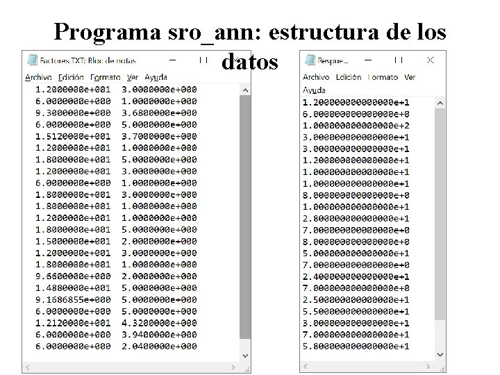 Programa sro_ann: estructura de los datos 