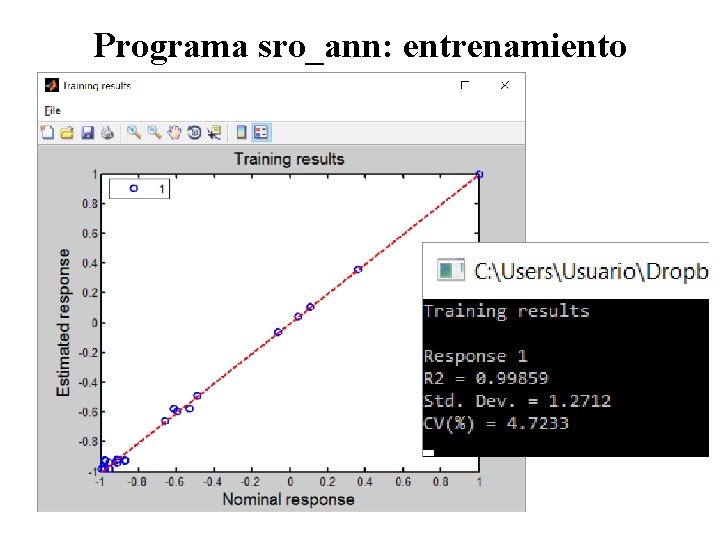 Programa sro_ann: entrenamiento 