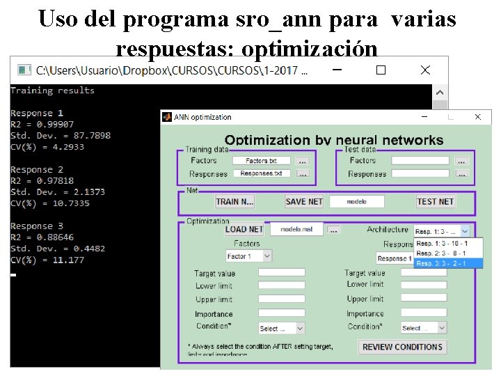 Uso del programa sro_ann para varias respuestas: optimización 