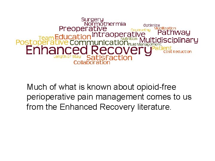 Much of what is known about opioid-free perioperative pain management comes to us from