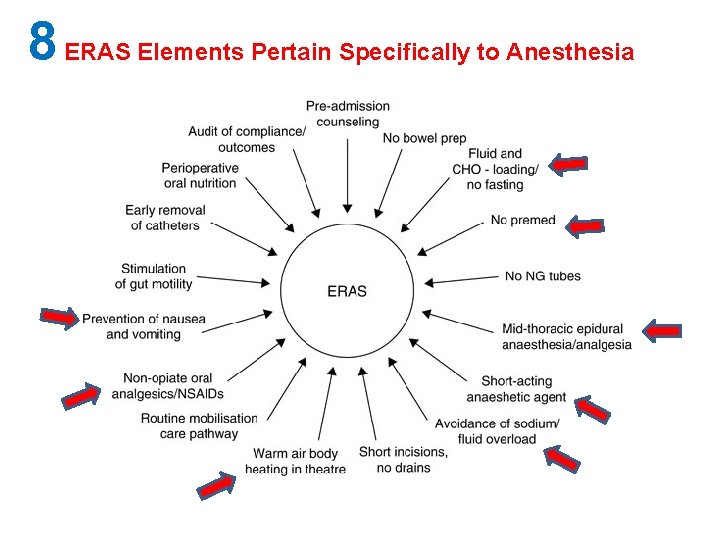 8 ERAS Elements Pertain Specifically to Anesthesia 