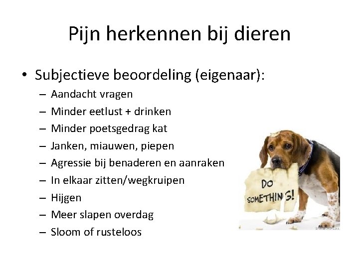 Pijn herkennen bij dieren • Subjectieve beoordeling (eigenaar): – – – – – Aandacht