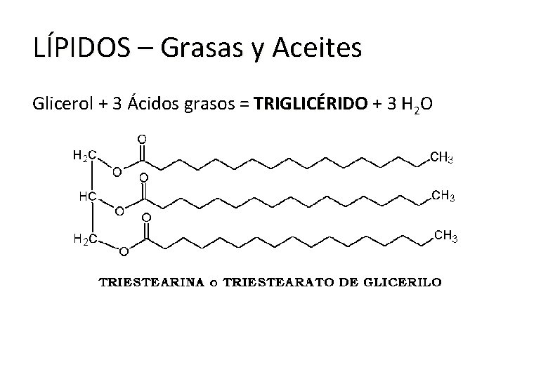 LÍPIDOS – Grasas y Aceites Glicerol + 3 Ácidos grasos = TRIGLICÉRIDO + 3