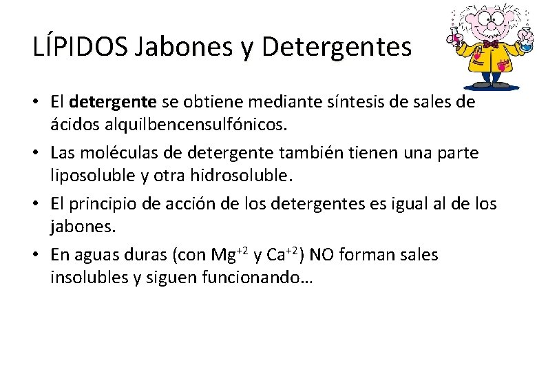 LÍPIDOS Jabones y Detergentes • El detergente se obtiene mediante síntesis de sales de
