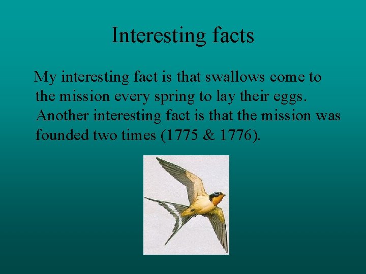 Interesting facts My interesting fact is that swallows come to the mission every spring Interesting facts My interesting fact is that swallows come to the mission every spring