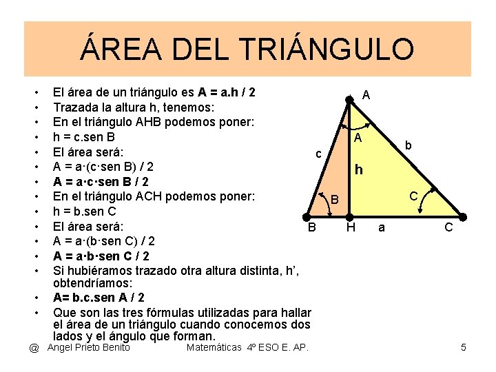 ÁREA DEL TRIÁNGULO • • • • El área de un triángulo es A