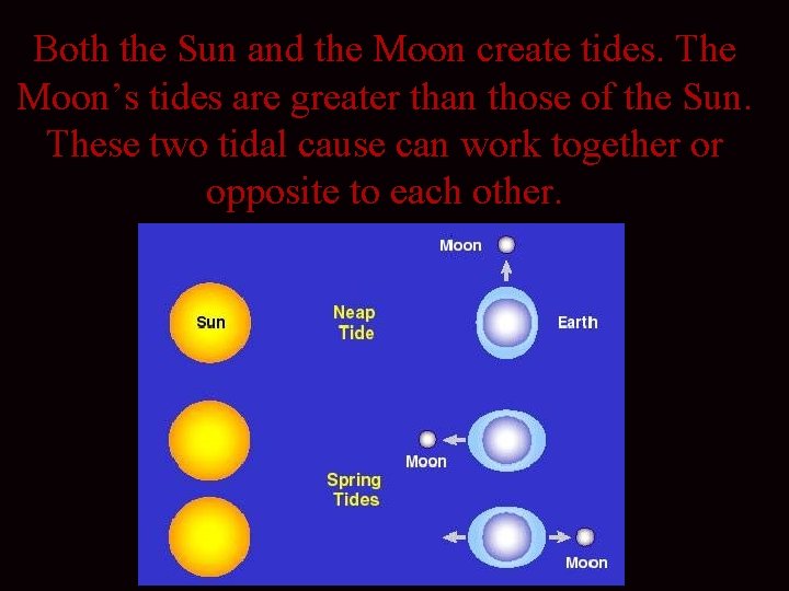 Both the Sun and the Moon create tides. The Moon’s tides are greater than