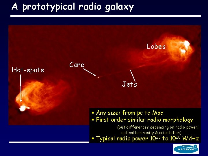 A prototypical radio galaxy Lobes Hot-spots Core Jets § Any size: from pc to