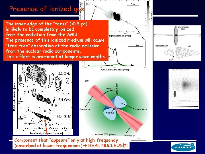 Presence of ionized gas The inner edge of the “torus” (<0. 3 pc) is