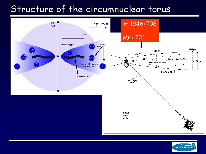 Structure of the circumnuclear torus ß 1946+708 Mrk 231 