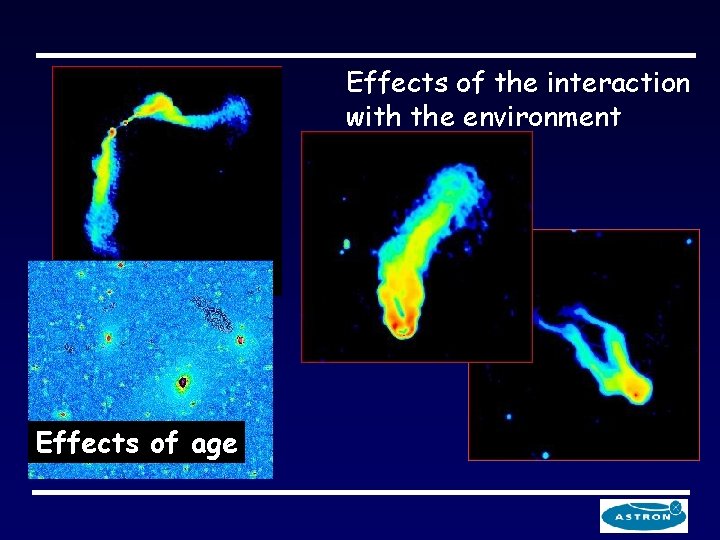 Effects of the interaction with the environment Effects of age 