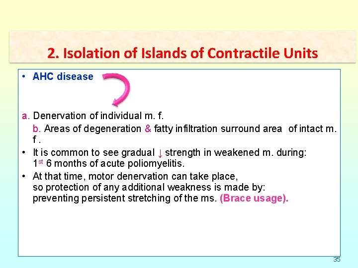 2. Isolation of Islands of Contractile Units • AHC disease a. Denervation of individual