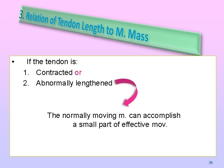  • If the tendon is: 1. Contracted or 2. Abnormally lengthened The normally