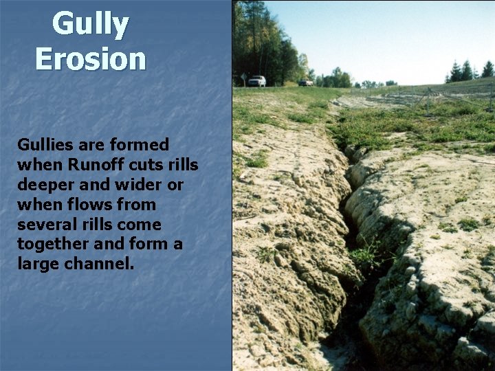 Gully Erosion Gullies are formed when Runoff cuts rills deeper and wider or when