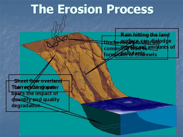 The Erosion Process Rain hitting the land surface can dislodge Unchecked erosion will significant