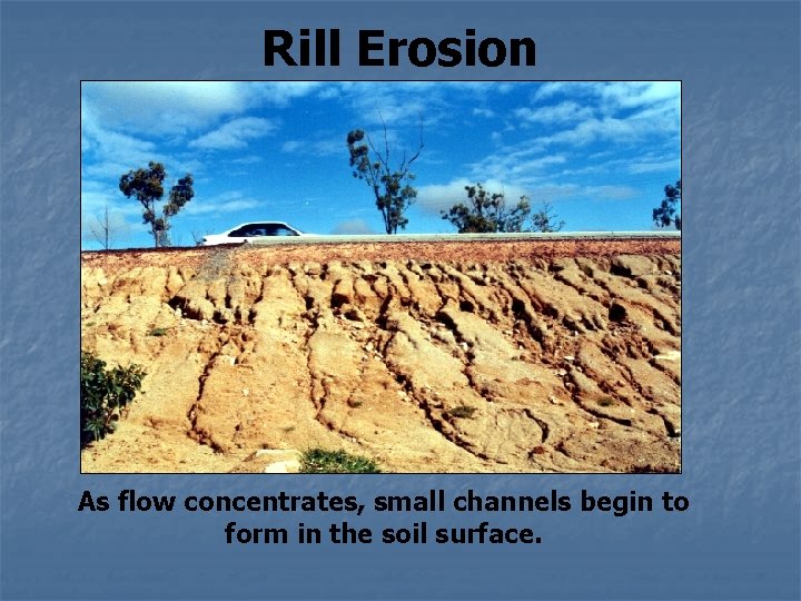 Rill Erosion As flow concentrates, small channels begin to form in the soil surface.