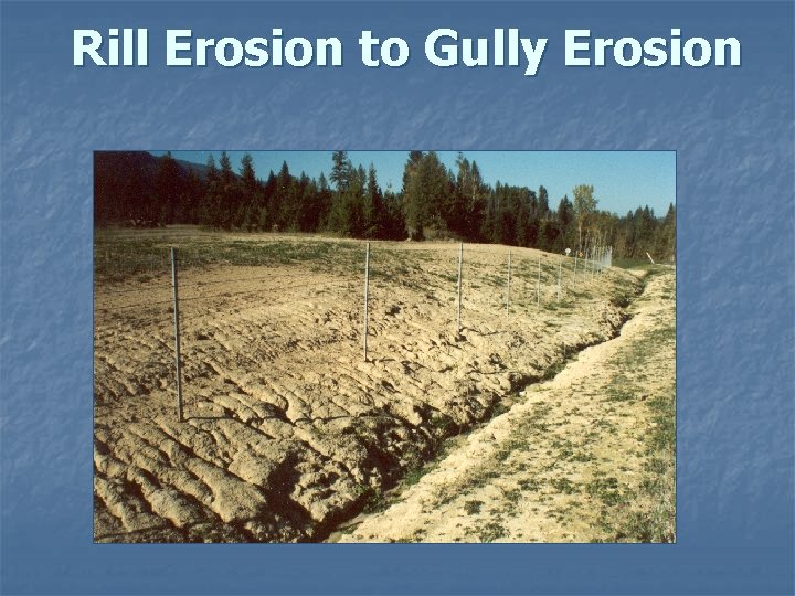 Rill Erosion to Gully Erosion 