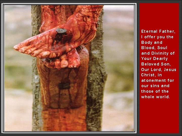 Eternal Father, I offer you the Body and Blood, Soul and Divinity of Your Eternal Father, I offer you the Body and Blood, Soul and Divinity of Your