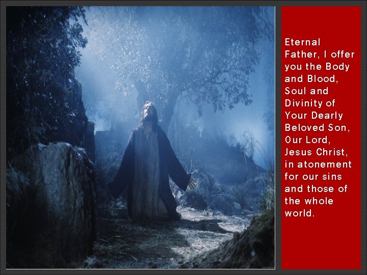 Eternal Father, I offer you the Body and Blood, Soul and Divinity of Your Eternal Father, I offer you the Body and Blood, Soul and Divinity of Your