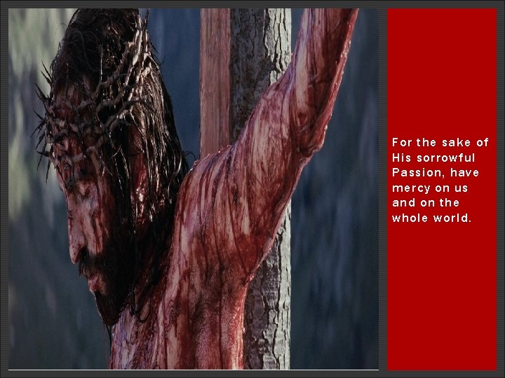 For the sake of His sorrowful Passion, have mercy on us and on the For the sake of His sorrowful Passion, have mercy on us and on the