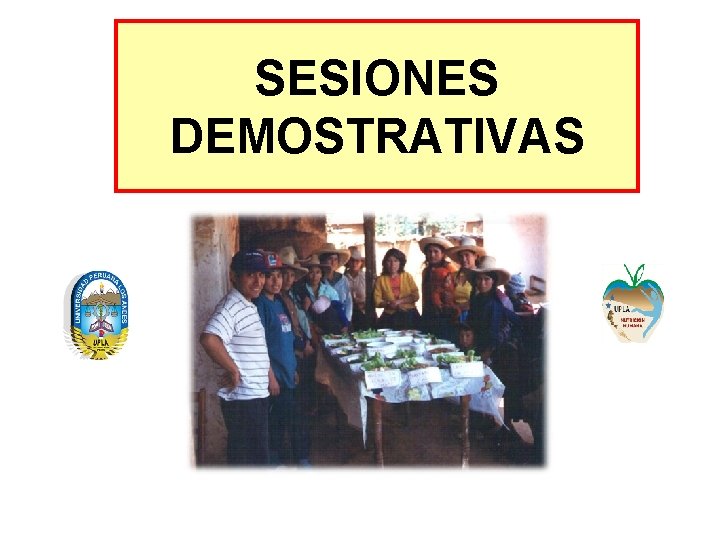 SESIONES DEMOSTRATIVAS 